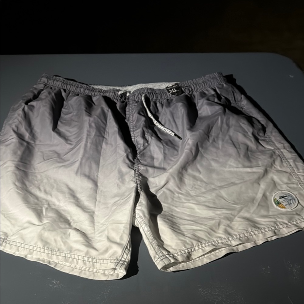 Men's Gray Swim Trunks